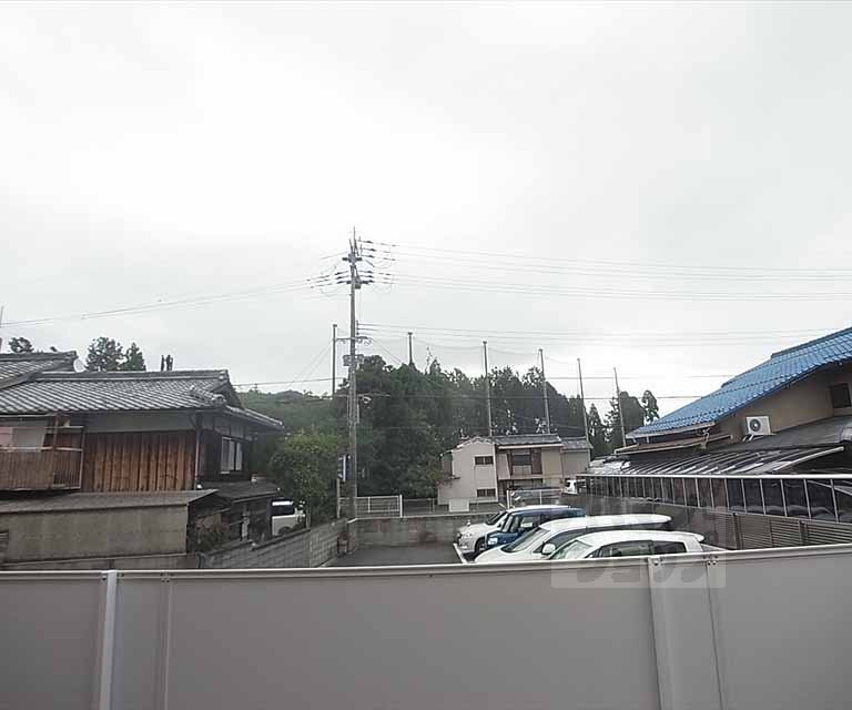 View. Outdoor landscape