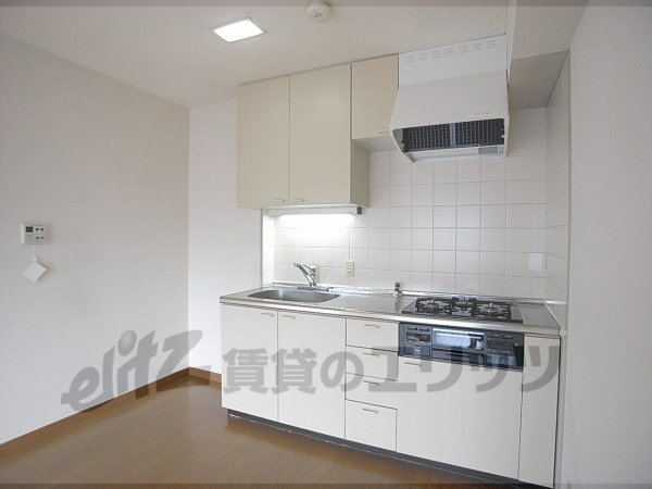 Kitchen. In large kitchen, Likely cuisine also becomes fun