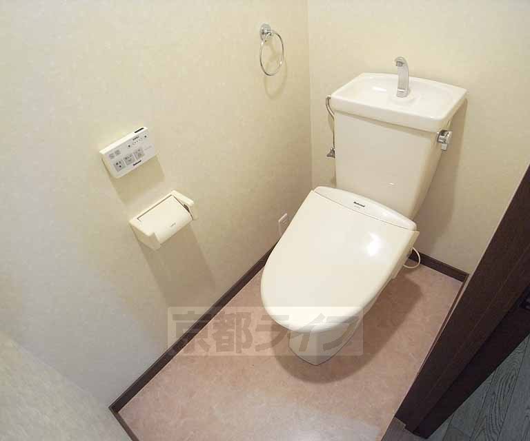 Toilet. Washlet toilet.