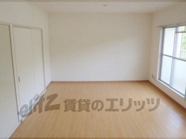 Living and room. Beautiful living.