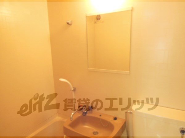 Other Equipment. mirror ・ shower ・ Wash basin