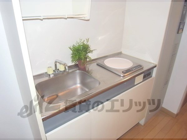 Kitchen. Beautiful kitchen.