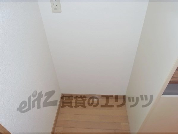 Other room space. Refrigerator is the yard.