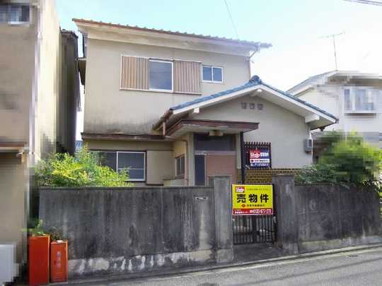 Local land photo. appearance