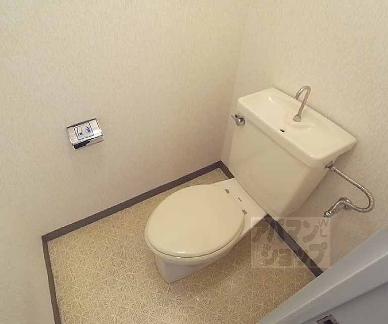 Toilet. Toilet