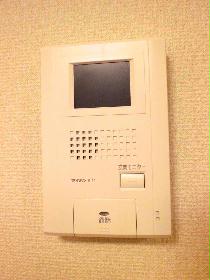 Entrance. TV monitor with intercom