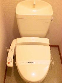 Toilet. Toilet