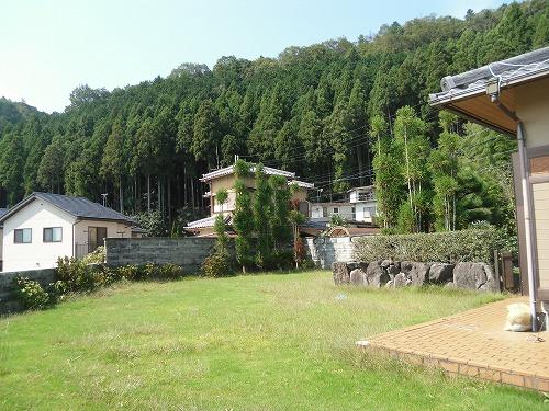 Garden. Location from the lush garden