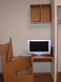 Living and room. Flat-screen LCD TV