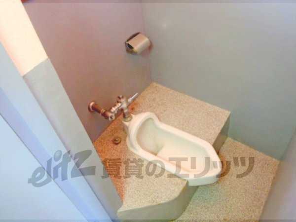 Toilet. Toilet comes with your room.