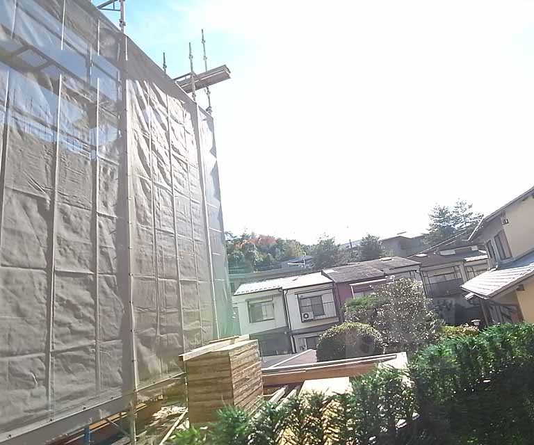 View. Outdoor landscape