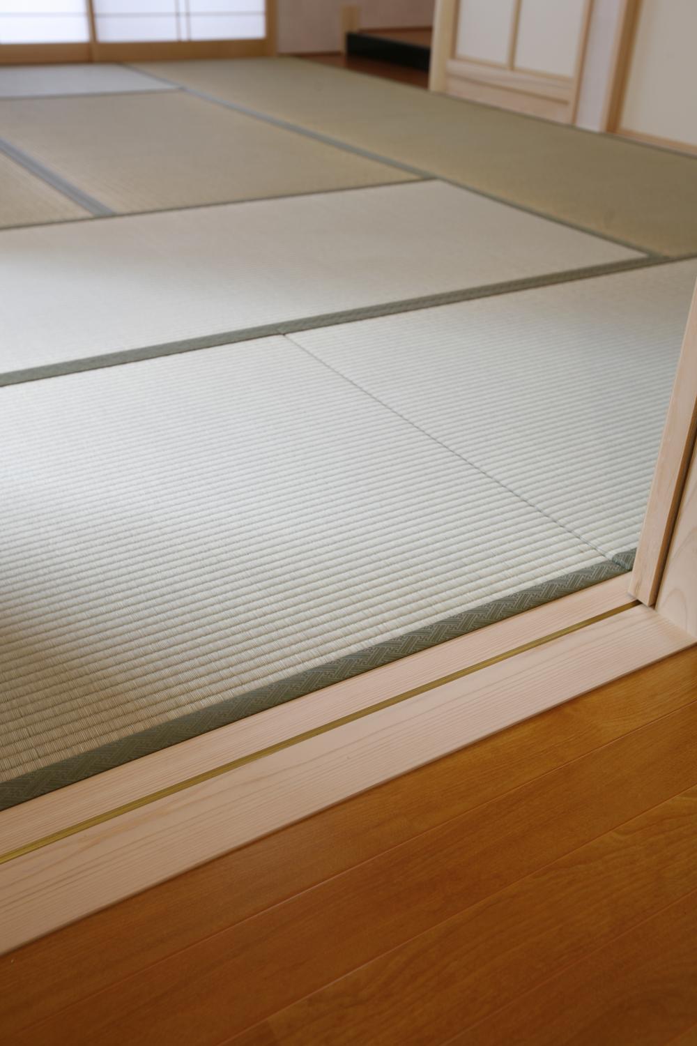 Other. Our construction case. Since there is no step between the room and the hallway, Does Mase stumbling.