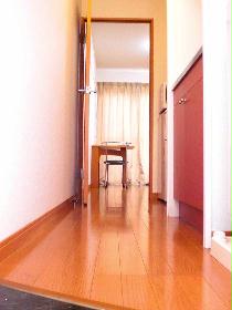 Living and room. Corridor