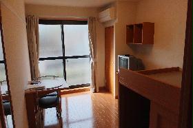 Living and room. Flooring of the room