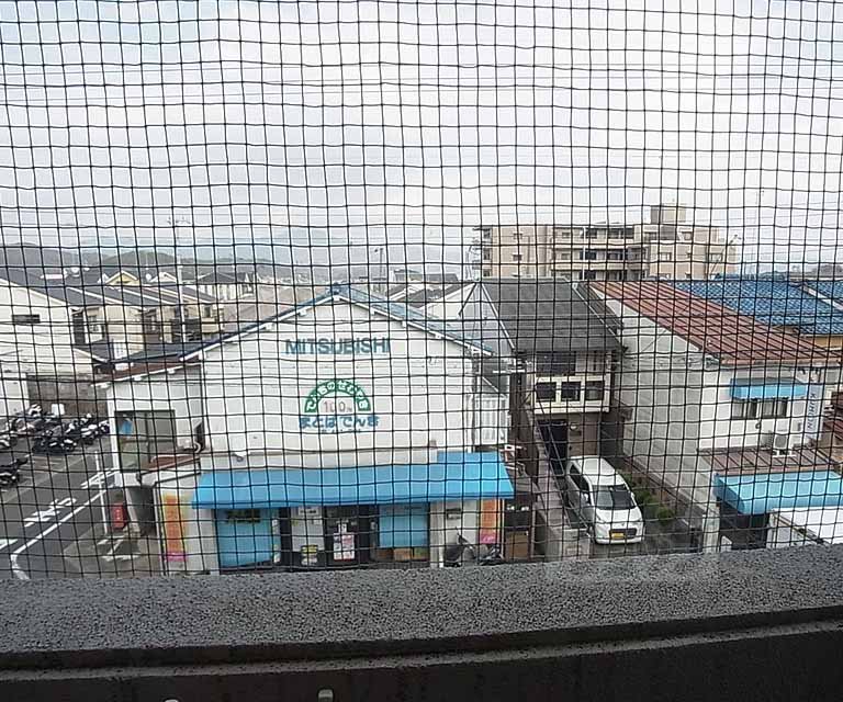 View. Outdoor landscape