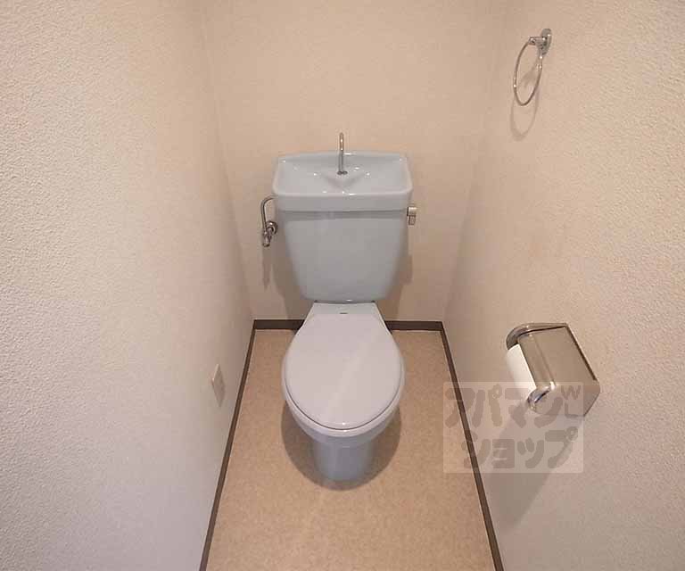 Toilet. Toilet