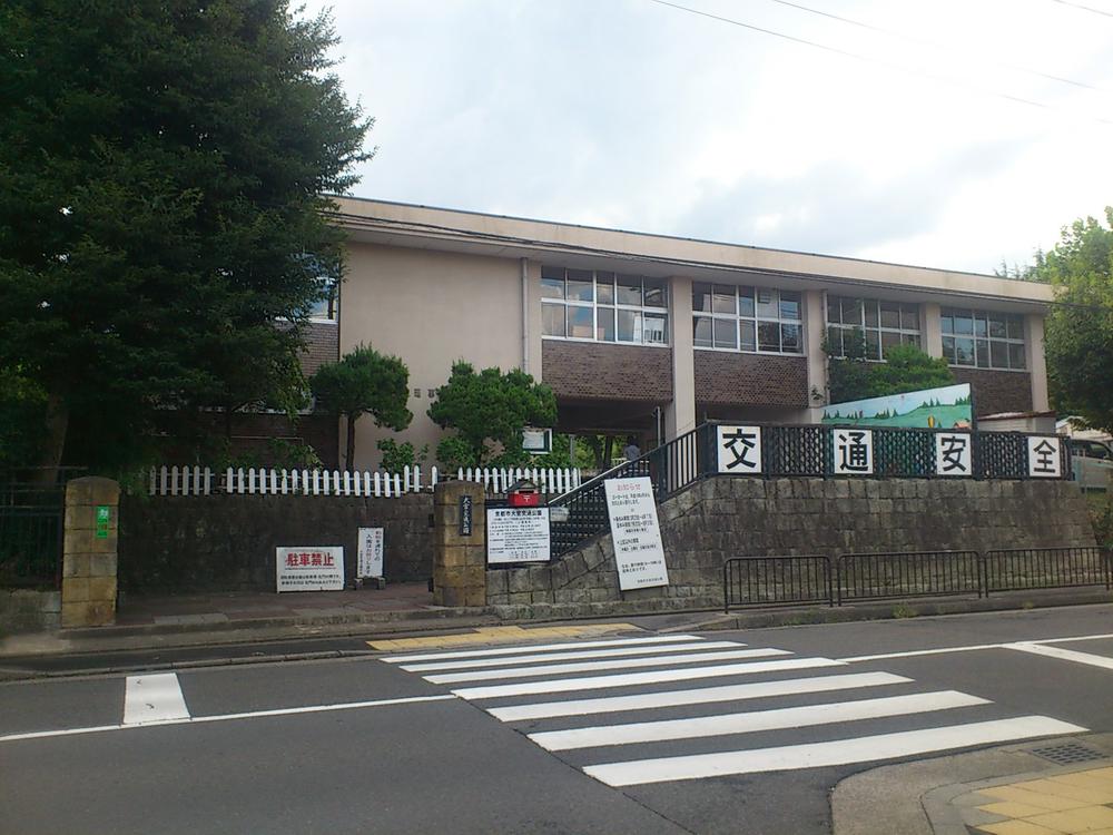 Other local. Local (August 2012) shooting