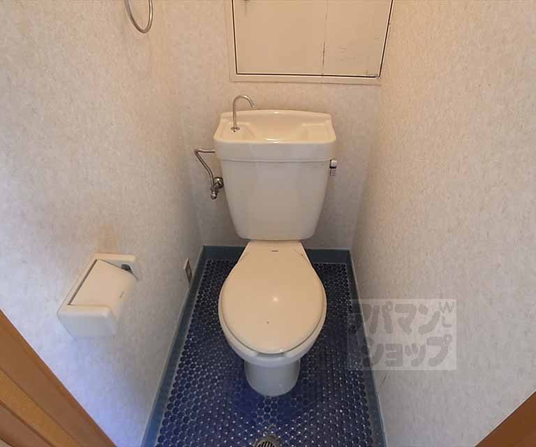 Toilet. Toilet