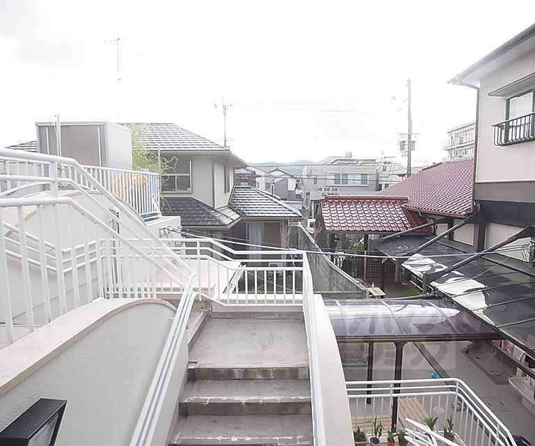 View. Outdoor landscape