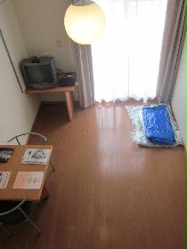 Other. Flooring of the room