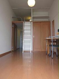 Living and room. With loft