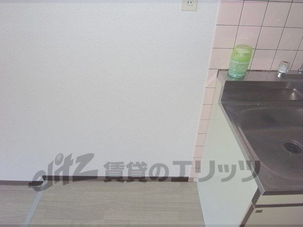 Other room space. Refrigerator is the yard.