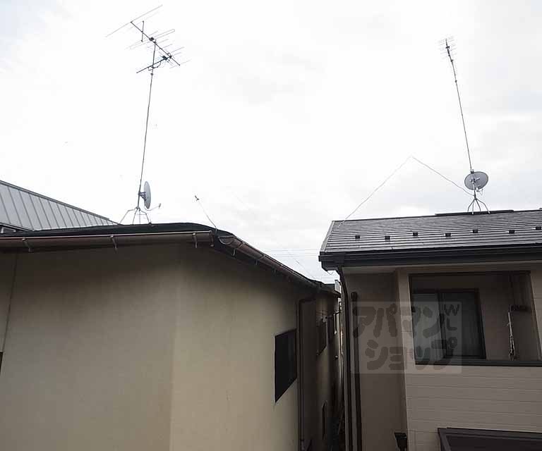 View. Outdoor landscape