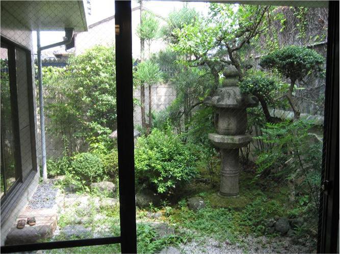 Garden. Local (March 2013) Shooting