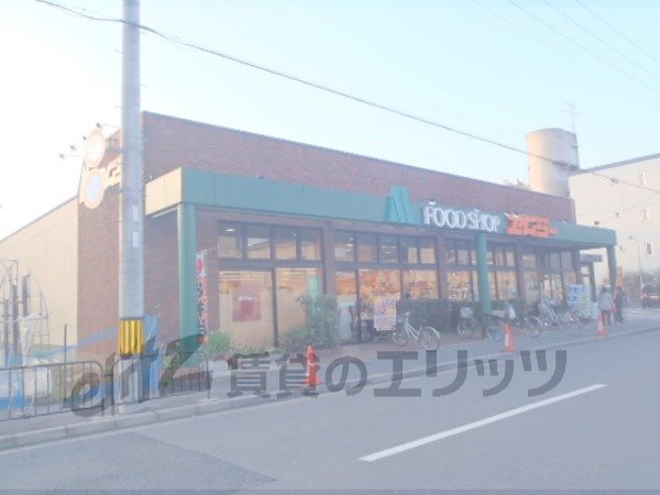 Supermarket. MG Nishigamo store up to (super) 1410m