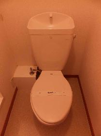 Toilet. Toilet