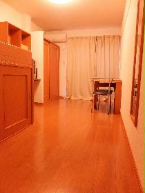 Living and room. Flooring of the room