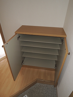 Receipt. It is a shoebox