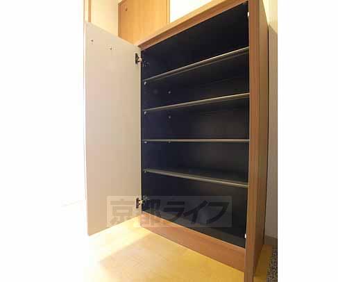 Entrance. Shoe boxes