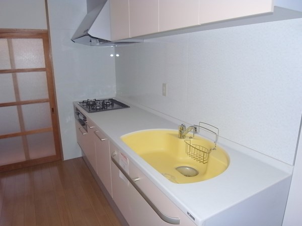 Kitchen. Spacious kitchen.