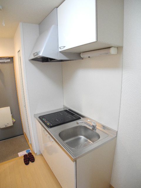 Kitchen. Two-burner stove is IH and La stringent stove!