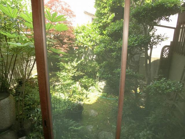 Garden. Local (June 2013) Shooting