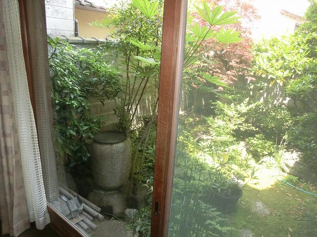 Garden. Local (June 2013) Shooting