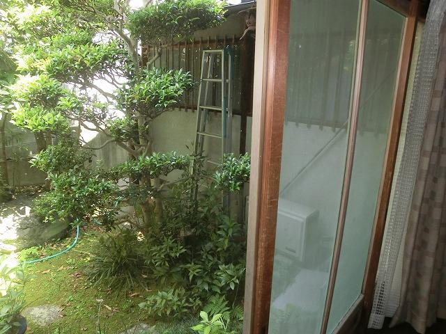 Garden. Local (June 2013) Shooting