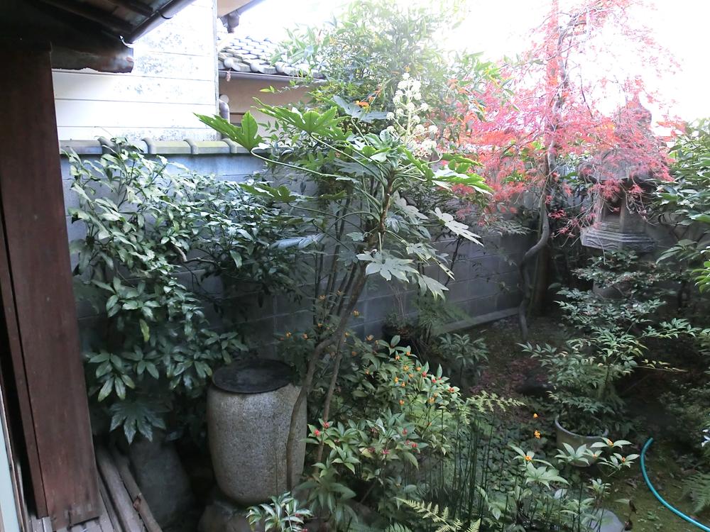 Garden. Local (11 May 2013) Shooting