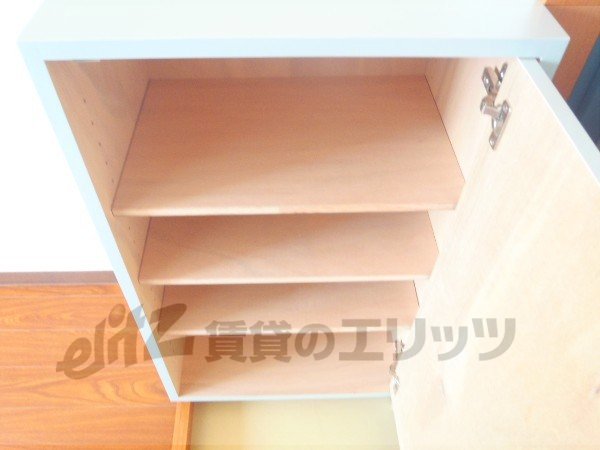 Receipt. I put a lot of shoes