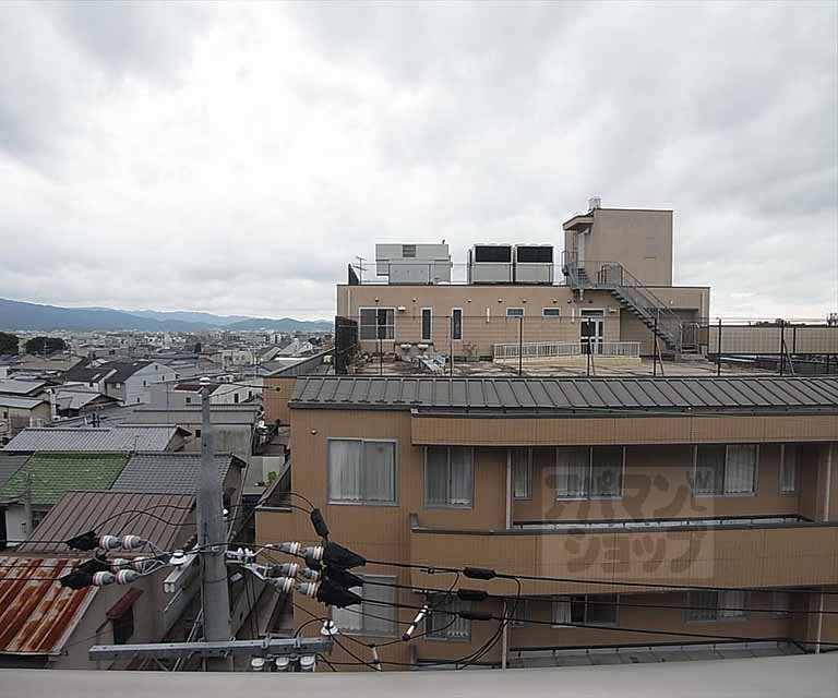 View. Outdoor landscape