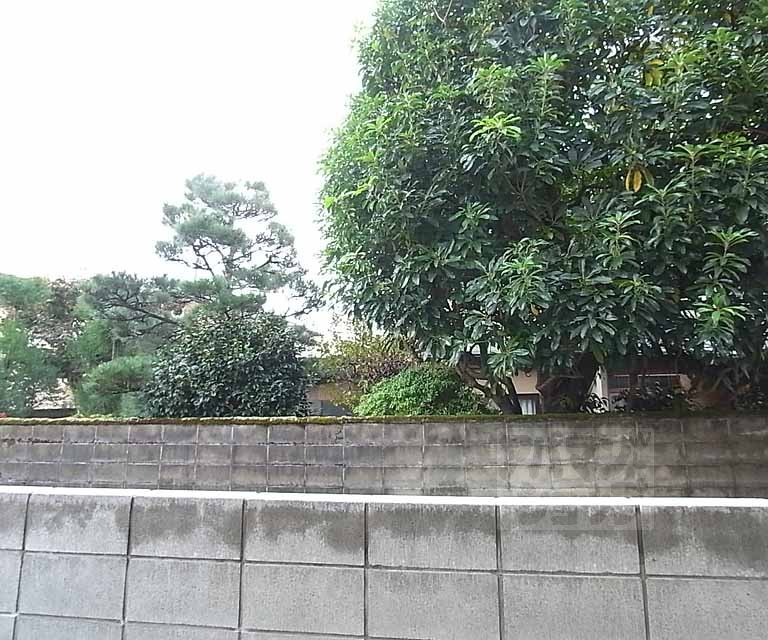 View. Outdoor landscape