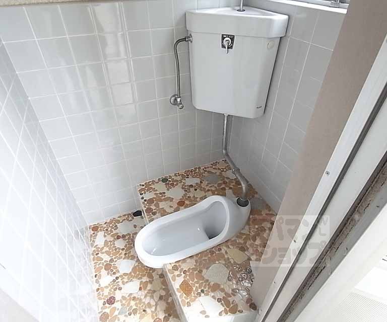 Toilet. Japanese-style toilet