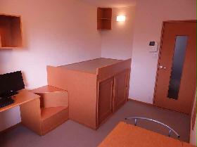 Living and room. Carpet of the room