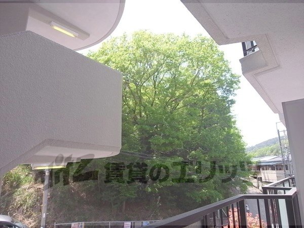 View. Is the view from the balcony.