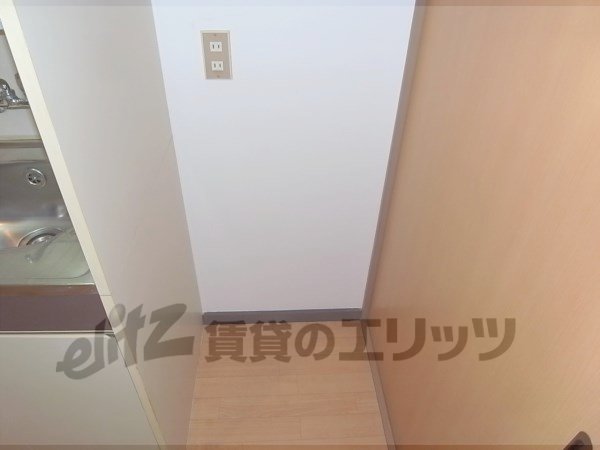 Other room space. Refrigerator is the yard.