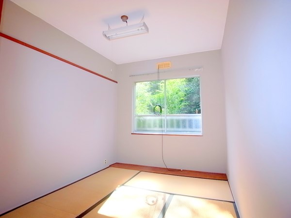 Living and room. It is quiet and cozy room.