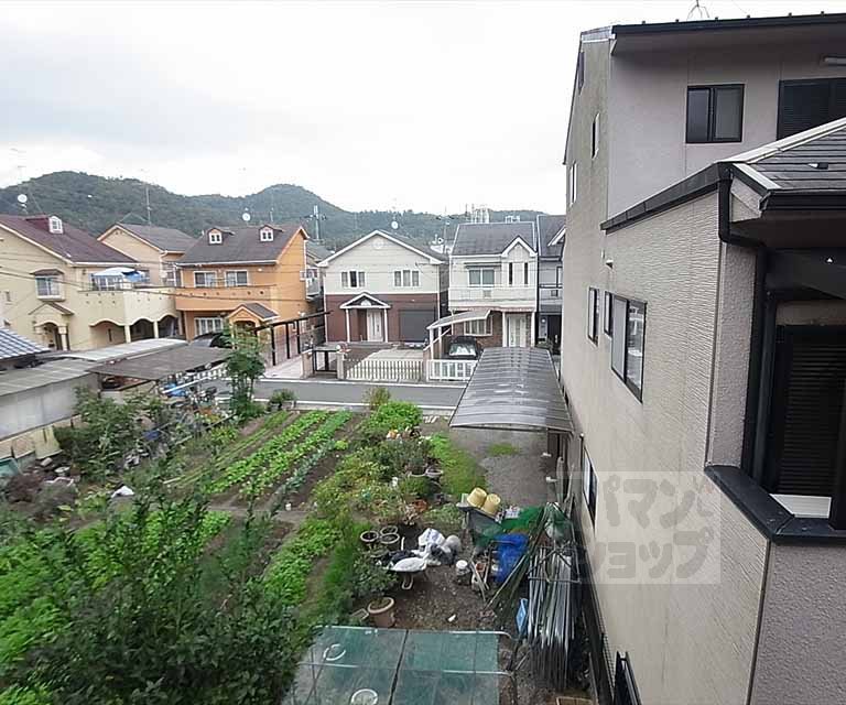 View. Outdoor landscape