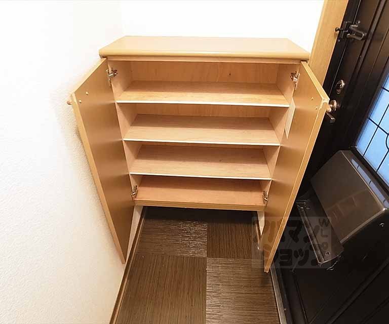 Entrance. Shoe box equipped with the front door