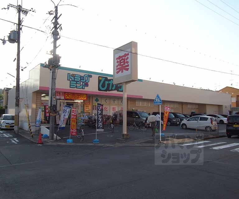 Dorakkusutoa. Drag Light Nishigamo shop 231m until (drugstore)